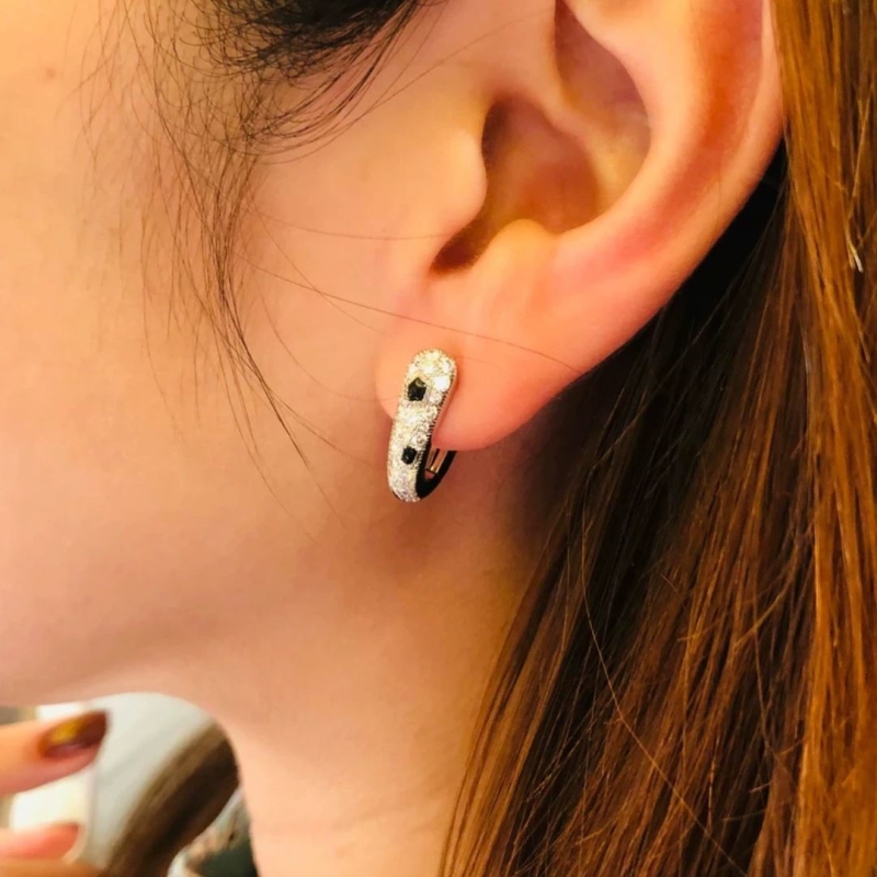Ca*t1er earrings